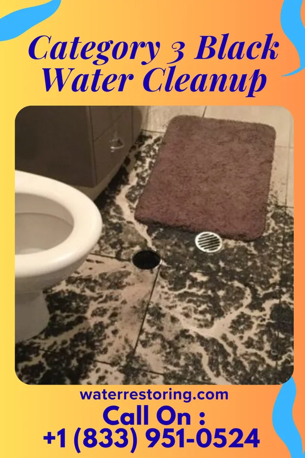 Category 3 Black Water Cleanup in Madison, OH